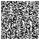 QR code with Blimpie Subs & Salads contacts