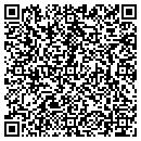 QR code with Premier Properties contacts