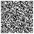 QR code with Blue Sky Properties LLC contacts