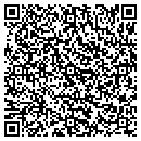 QR code with Borgia Properties LLC contacts