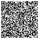 QR code with Ptd Property One LLC contacts