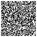 QR code with Pye Properties Inc contacts