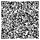 QR code with Psj Properties L L C contacts