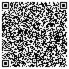 QR code with Blue River Properties contacts