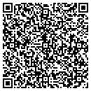 QR code with Blr Properties Inc contacts