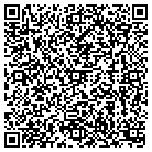 QR code with Pulsar Properties Inc contacts