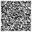 QR code with Pyrtle Properties Inc contacts