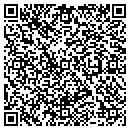 QR code with Pylant Properties LLC contacts