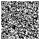 QR code with Purfoy Properties LLC contacts