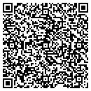 QR code with Problem Properties contacts