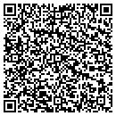 QR code with Psi Properties LLC contacts