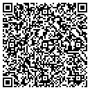 QR code with Prime View Properties contacts