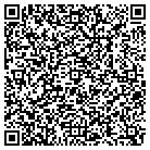 QR code with Pucciarello Properties contacts