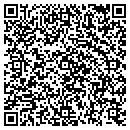 QR code with Public Storage contacts