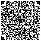 QR code with Public Library Systems contacts