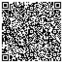 QR code with Pva Assoc contacts