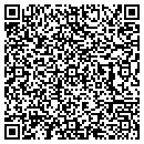 QR code with Puckett Team contacts