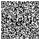 QR code with Puckett Team contacts