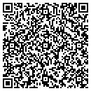 QR code with Cole Development LLC contacts