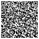 QR code with Properties Amoso contacts