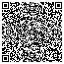 QR code with Pro Source One contacts