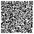 QR code with P Cepeda contacts