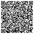 QR code with Pitaya contacts