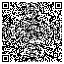 QR code with Chapin Properties Inc contacts