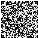 QR code with Premier Storage contacts