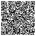 QR code with Malone contacts