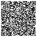 QR code with Blu Skyy contacts