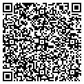 QR code with Ditek contacts