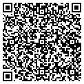 QR code with Shell contacts