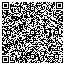QR code with Cyberjunkies contacts
