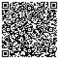 QR code with V Cafe contacts