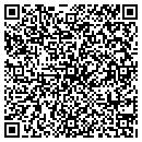 QR code with Cafe Pushkin Usa LLC contacts