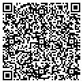 QR code with Igloo contacts