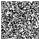 QR code with Ynlc Cafe Corp contacts