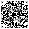 QR code with N Lynn contacts
