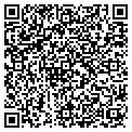 QR code with Region contacts