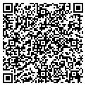 QR code with B Flat contacts