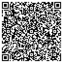 QR code with Chi Town Ribs & Pizza contacts