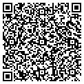 QR code with Tcg Solutions contacts