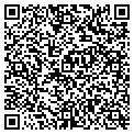 QR code with Stella contacts