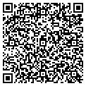 QR code with Ms T's contacts