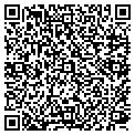 QR code with Bogards contacts