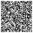 QR code with Premier Bar & Grill contacts