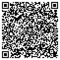 QR code with Subway contacts