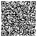 QR code with Anthos contacts