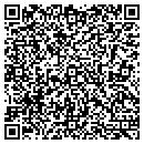 QR code with Blue Link Ventures LLC contacts
